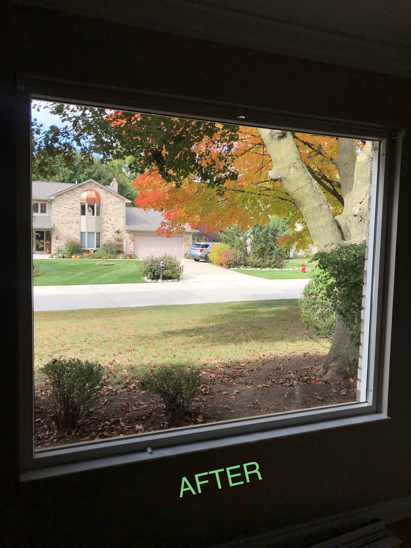 Clear replacement window glass looking out to a fall yard